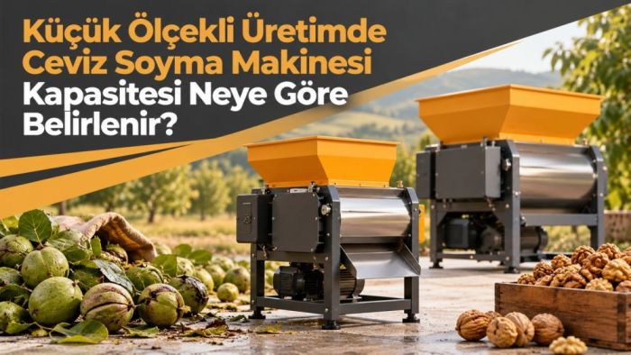 Küçük Ölçekli Üretimde Ceviz Soyma Makinesi Kapasitesi Neye Göre Belirlenir?